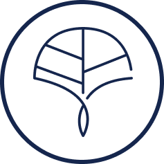 Design Icon